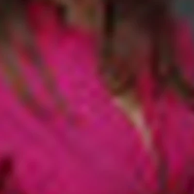 Мастерская красоты «Сандра»