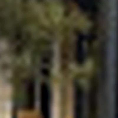 Баня «Белая кошка. Черный кот»