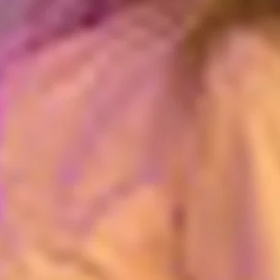 Елена Туровцева