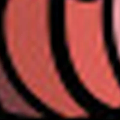 Masters beauty studio