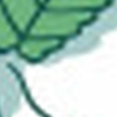 Мятные поцелуи