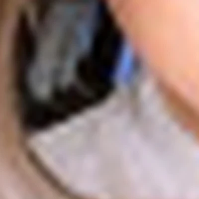 Студия массажа Колибри