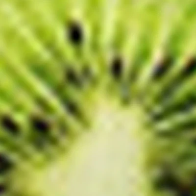 Студия школа маникюра КИВИ