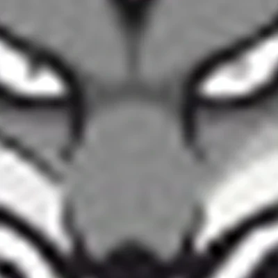 Black Fox