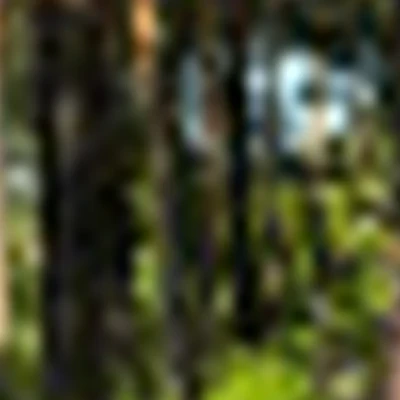 Алена Лебедева