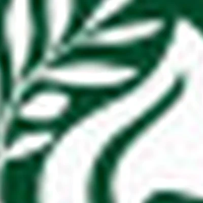 Школа-студия  массажа и косметологии "Скульптор "