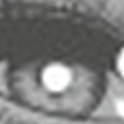 Vi•Sa Студия взгляда