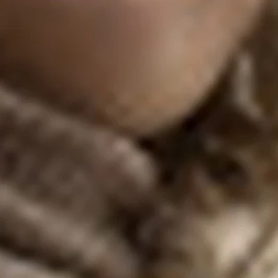 Грачева Екатерина