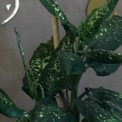 Профи в Иркутске Иркутская область, Иркутск, Свердлова, 36 здание, 1 этаж