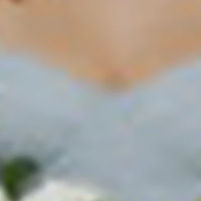 Елизавета Товмасян