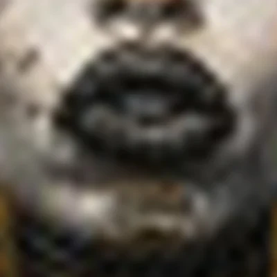 Студия пирсинга «Культура»