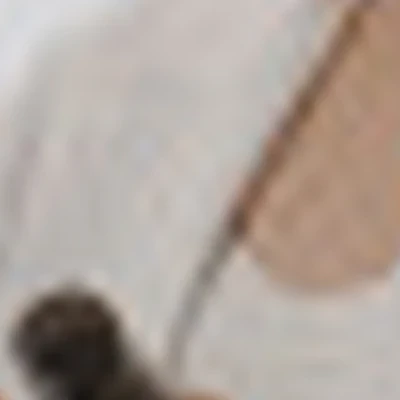 Громова Елена