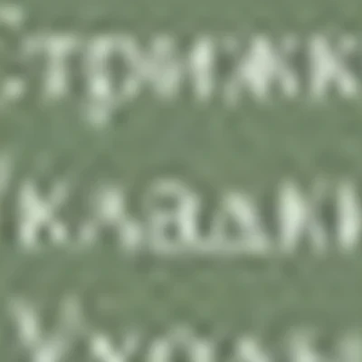Дарья Лавринович