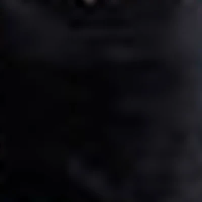 Студия взгляда Анны Скрипниковой