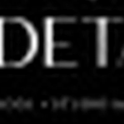 HAIR DETAILING STUDIO
