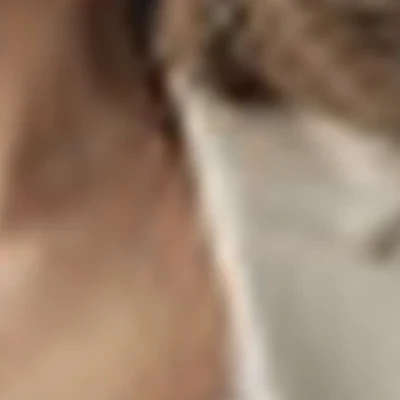 Елена Саплина