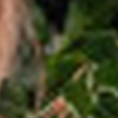 Кристина Глушкова