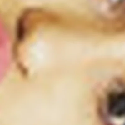 Анастасия Прусакова