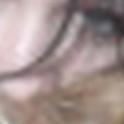 Шрайнер Алёна Юрьевна