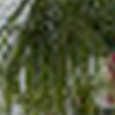 Студия красоты МG