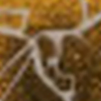 Салон Египетского массажа Солнечногорск