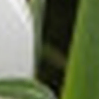 &