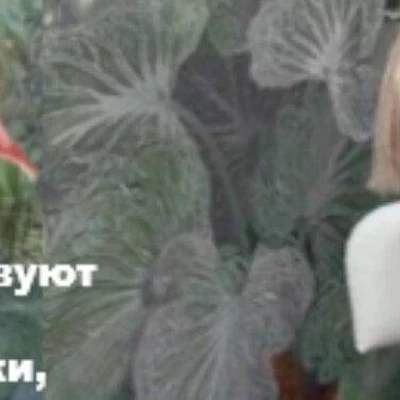 Бенарис в Иркутске Иркутская область, Иркутск, Мухиной, 17/1, 1 этаж