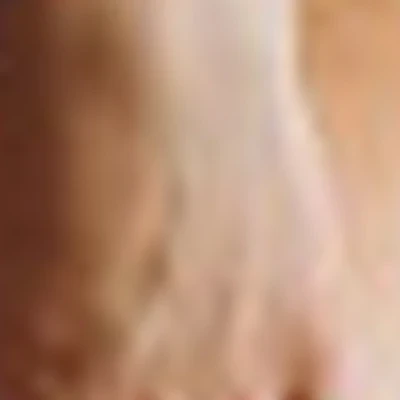 РукиРеки (отель Золотой лотос)