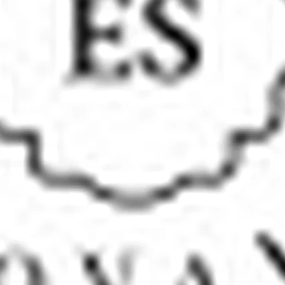 Стиль Ермаковой