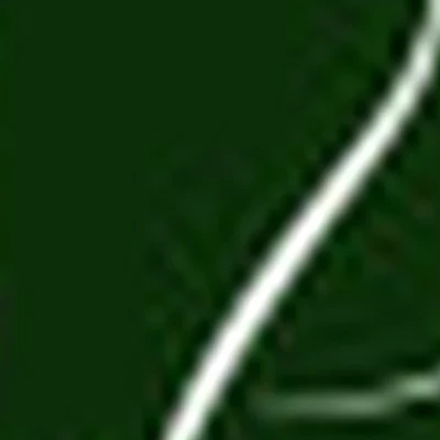 Gladko beauty, Студия эпиляции