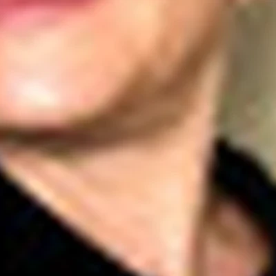 Елена  Анискина