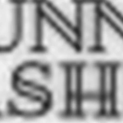 Sunny lashes studio