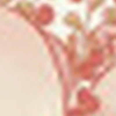 "Клюква" салон красоты