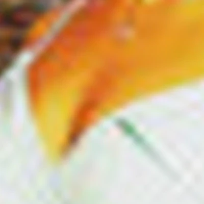 Оксана Якушина