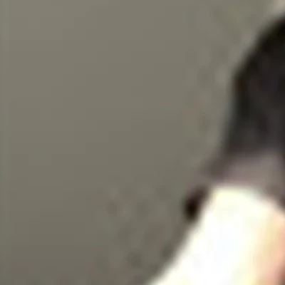 ProLove студия массажа