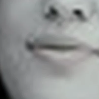 Джумабаева Шахноза