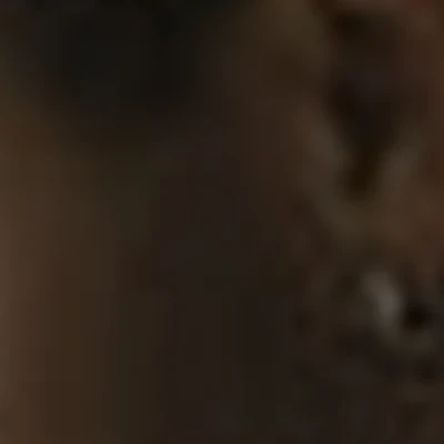 Андрей Дмитриев