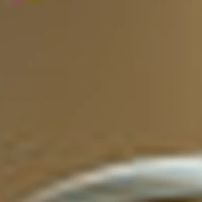 Сараин Екатерина Дмитриевна