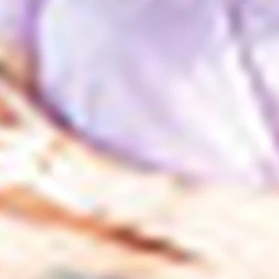 Виктория Шавлак