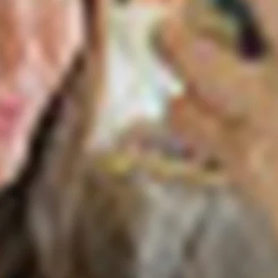 Тихомирова Евгения