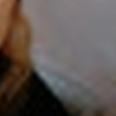 Галина Лебедева