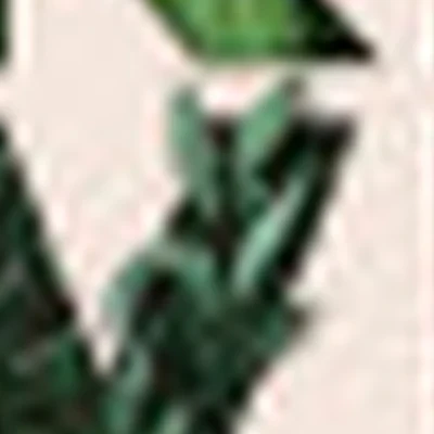 Киви студия красоты