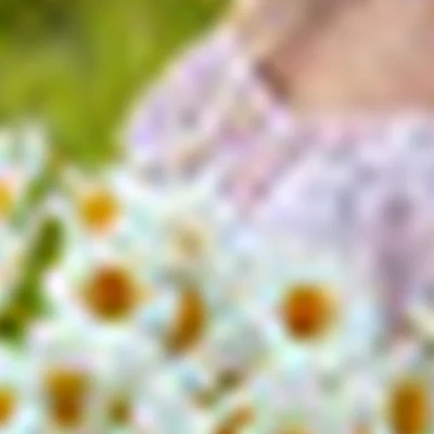 Мария Шумаева