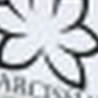 Narcissus (Б.Садовая, 151/8)