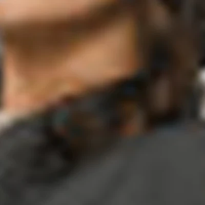 Екатерина Владыкина