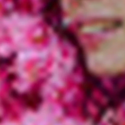 Светлана Русинова