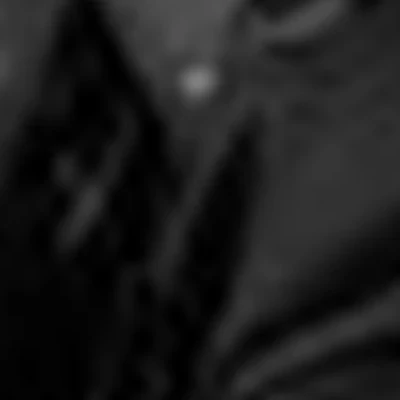 Мария Венер