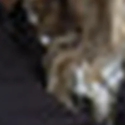 Ирина Жданова