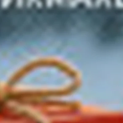 Girlie Петроградская