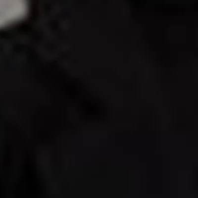 Lizzet Brows